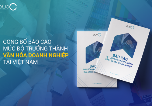 Khảo sát về hiện trạng thực thi văn hóa doanh nghiệp: Hầu hết các doanh nghiệp ở Việt Nam mới triển khai ở mức trung bình