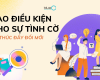 Tạo điều kiện cho sự tình cờ để thúc đẩy đổi mới