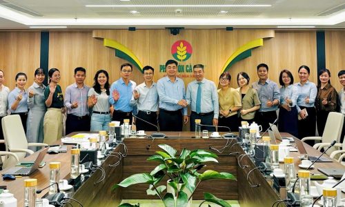 Blue C đồng hành cùng PVCFC trong dự án Đo lường Văn hóa Doanh nghiệp