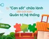 Từ “cơn sốt” chữa lành đến bài toán quản trị hệ thống
